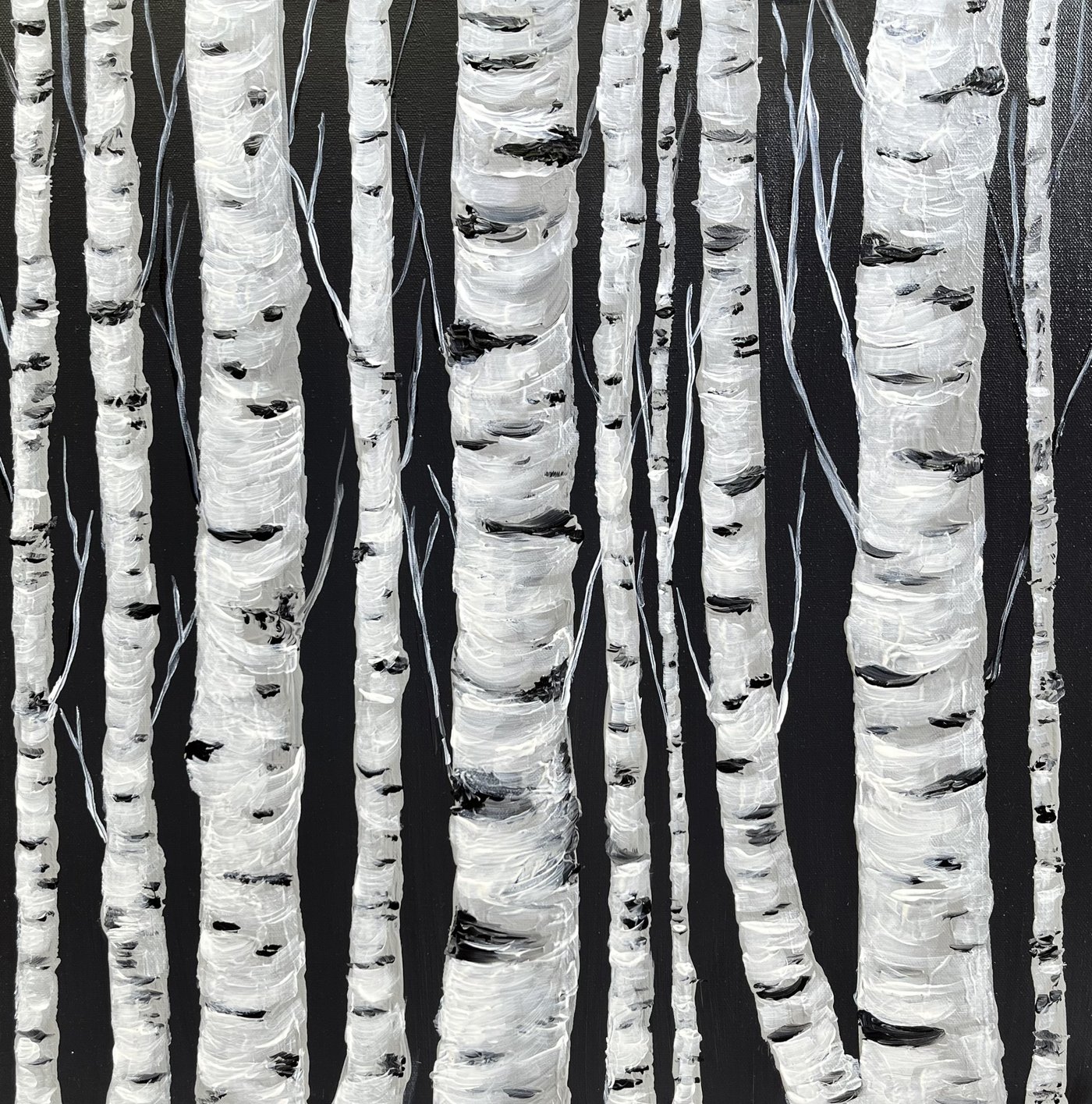 Black and Birches