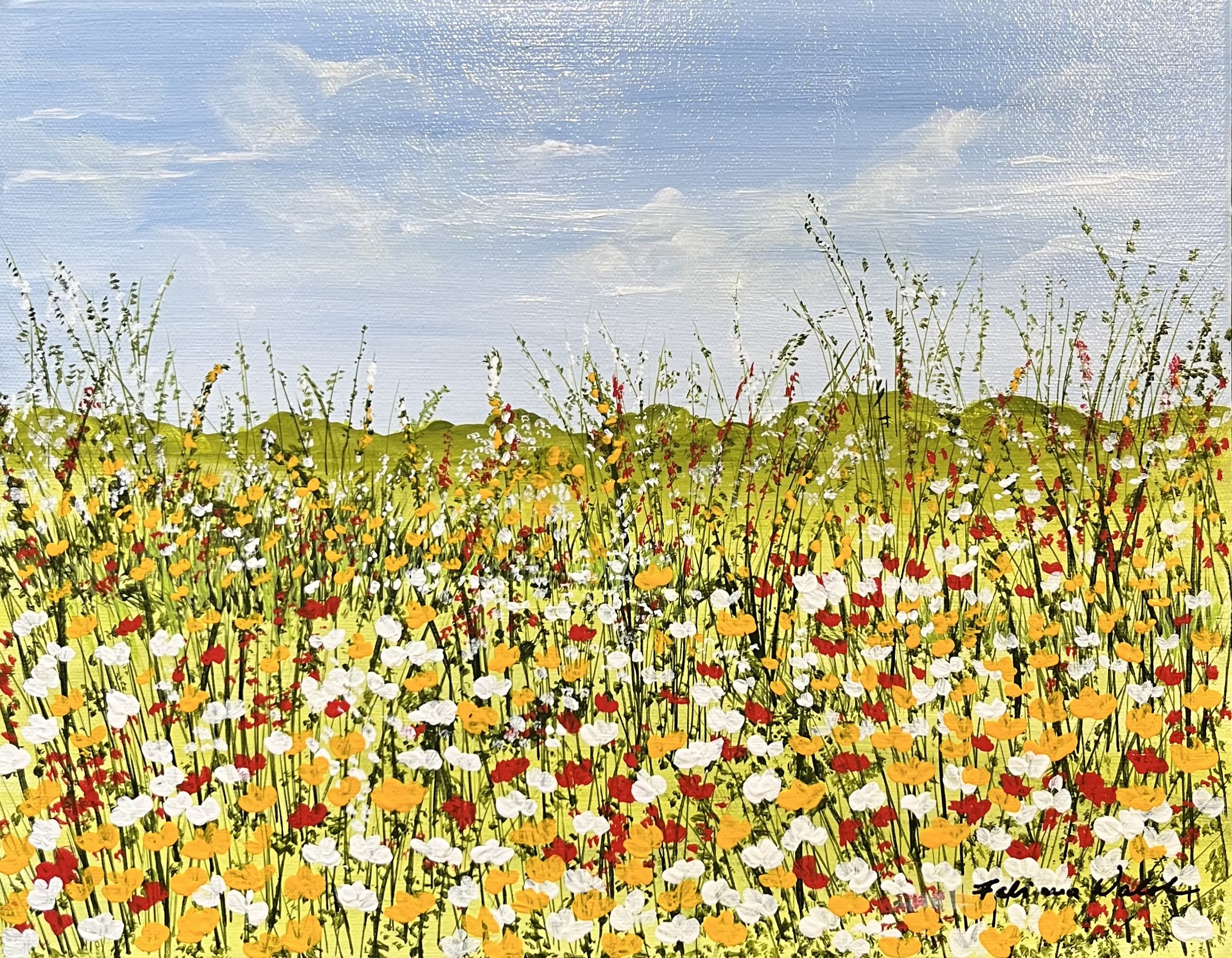 Field of Flowers
